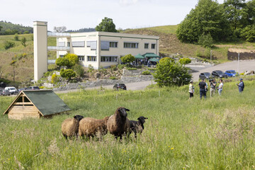 Das vom Bundesumweltministerium und Bundesamt fr Naturschutz gefrderte Projekt Tausende Grten  Tausende Arten hat kurz vor dem internationalen Tag der Biologischen Vielfalt zum ersten Mal ein Unternehmen fr seine naturnahen Auenflchen ausgezeichnet.