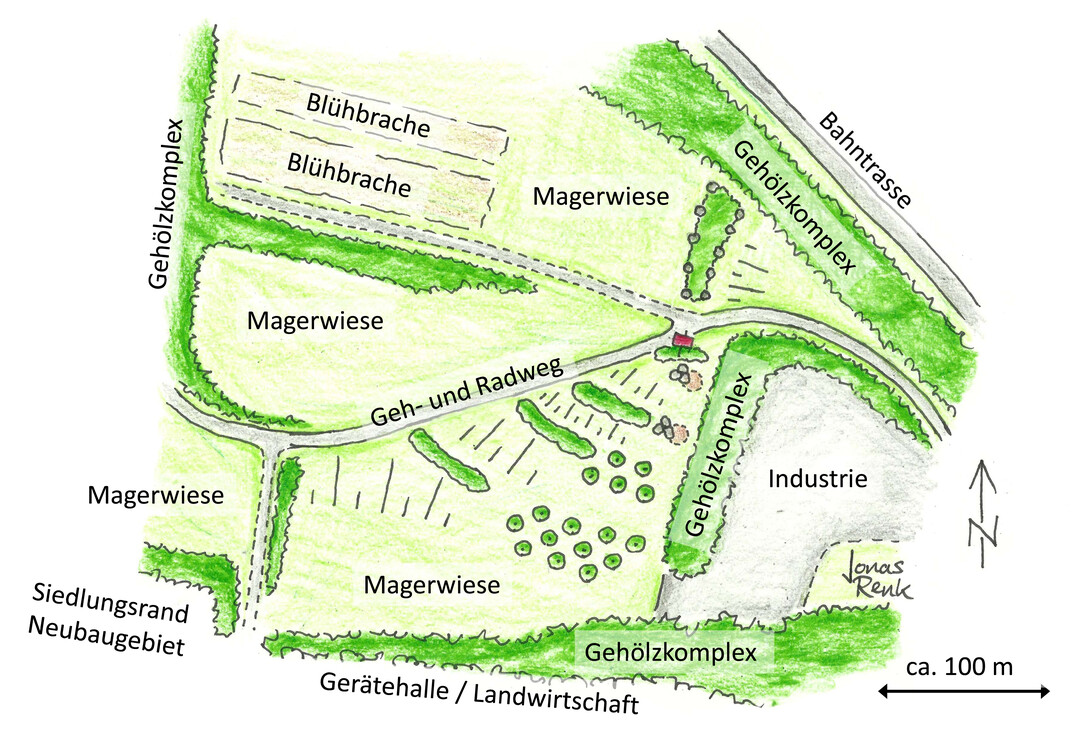 Skizzierter Lageplan des Bereichs in der Wrzburger Grnanlage im Kalten Grund, in dem die modifizierten Benjeshecken 2019 und 2022 angelegt worden sind.