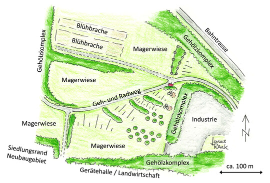 Skizzierter Lageplan des Bereichs in der Wrzburger Grnanlage im Kalten Grund, in dem die modifizierten Benjeshecken 2019 und 2022 angelegt worden sind.