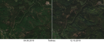 Identifikation von Waldschden im Satellitenbild
