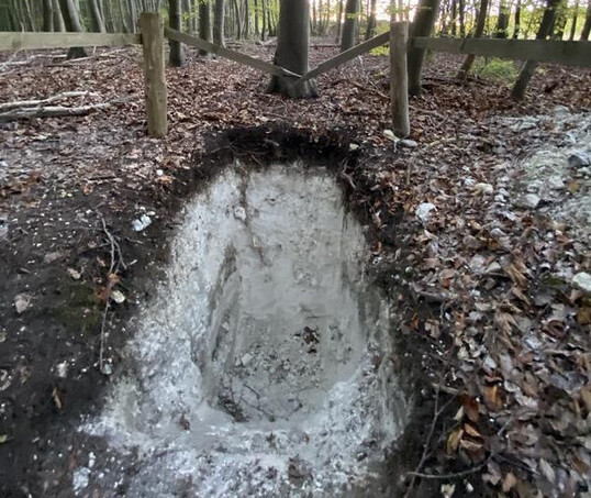 Rendzina auf Kreidekalk unter Buchenbestand auf Rgen
