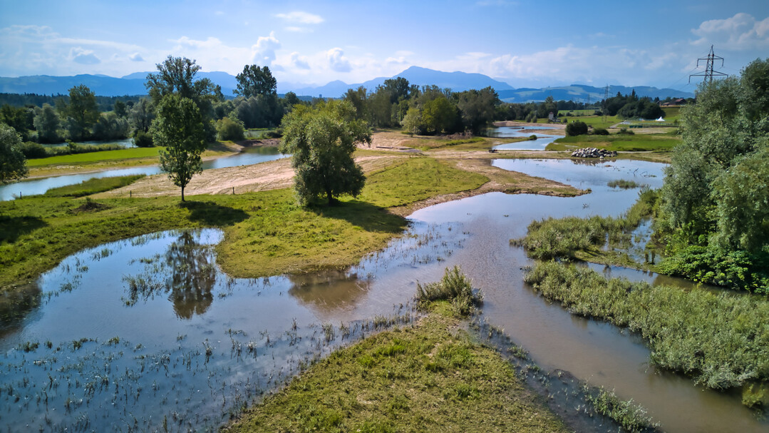 Die Reussaue aus Drohnensicht: Die Vielfalt an Lebensrumen zwischen Wasser und Land kommt eindrcklich zur Geltung.
