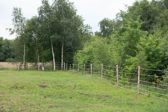 Weidezaun mit sechs Litzen