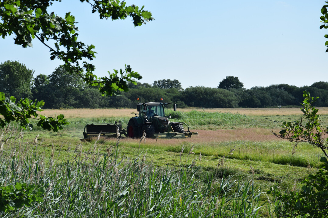 Landwirt bei der Grndlandmahd