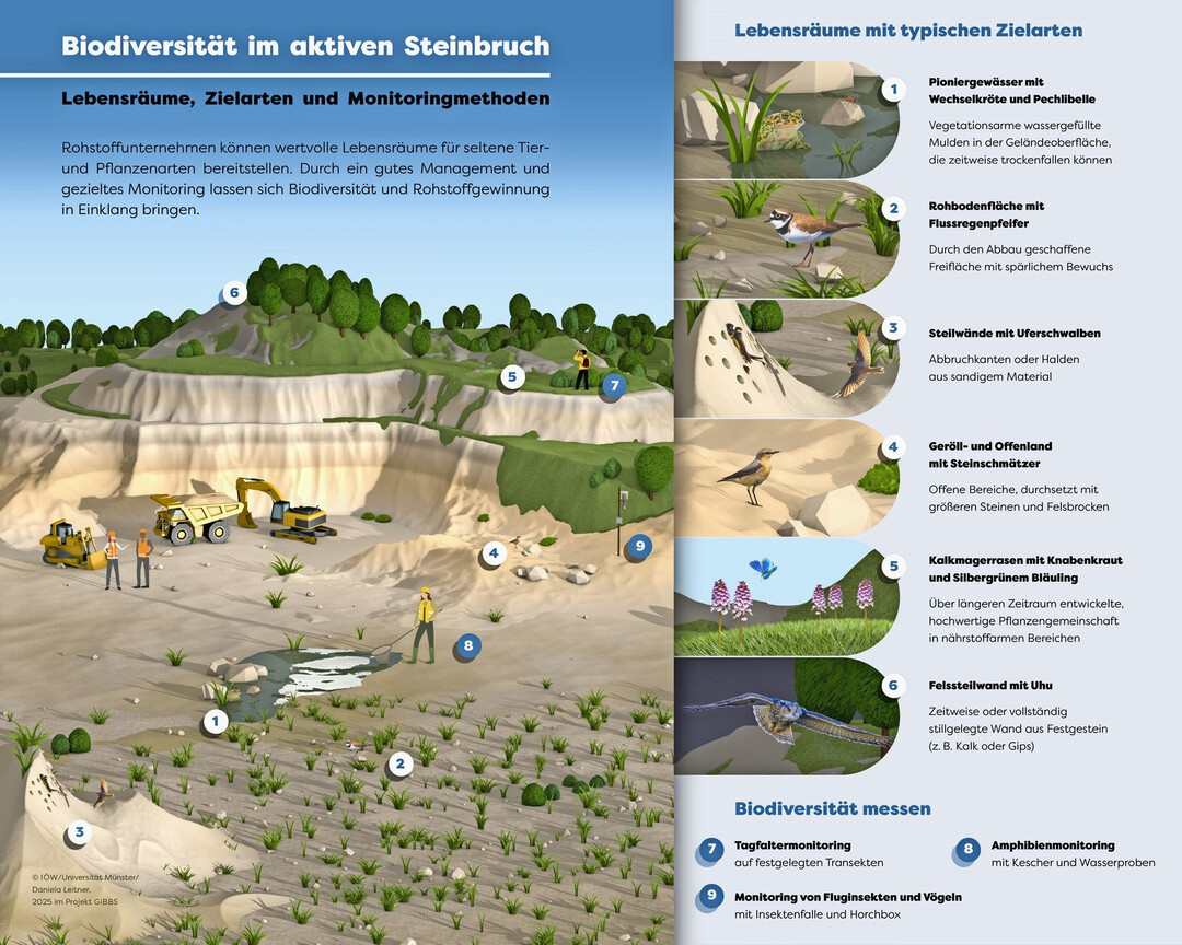 Lebensrume, Zielarten und Biodiversittsmonitoring in einem fiktiven Steinbruch
