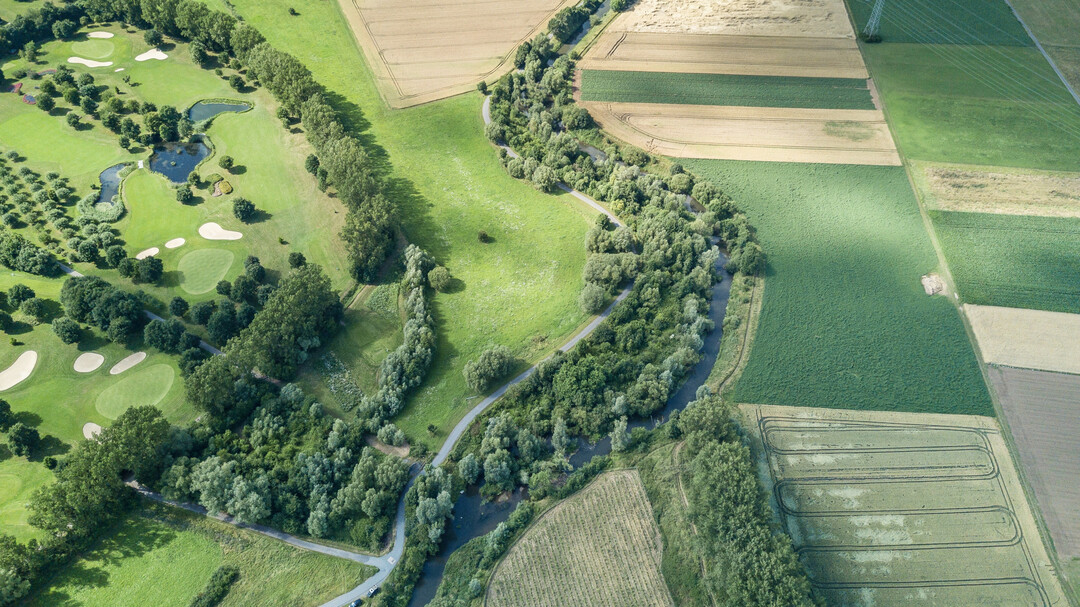 Weltweit werden Manahmen umgesetzt, um den Verlust der Artenvielfalt in Flssen zu stoppen  bisher nur mit geringem Erfolg.