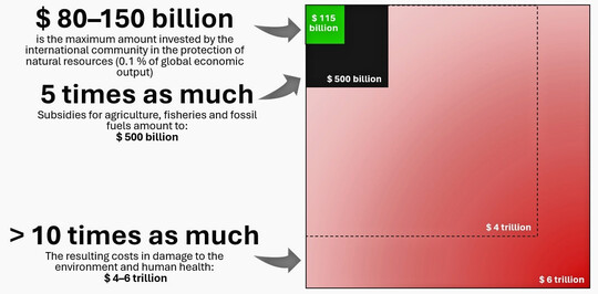 Fig. 2: Relationship between the estimated investments in the protection of natural resources, subsidies in agriculture, fisheries and fossil energies, and the resulting environmental and health damage in a global perspective (figures from Dasgupta 2021).
