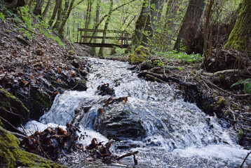 Naturnaher Bach
