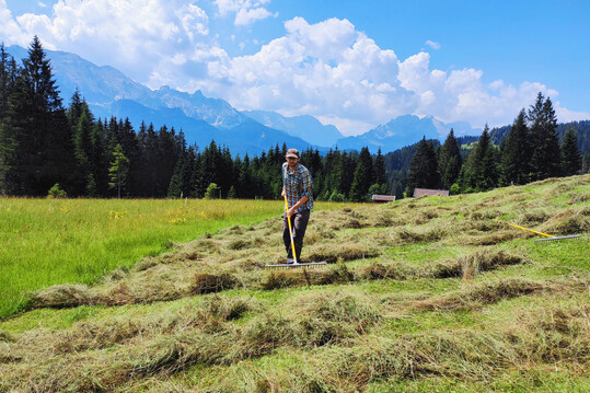 Traditionelle Heuernte auf einem artenreichen Kalkmagerrasen