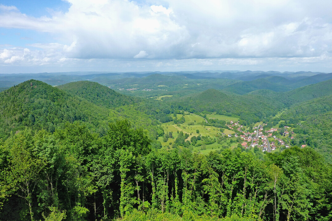 Blick ber die Hgel des Pflzerwaldes