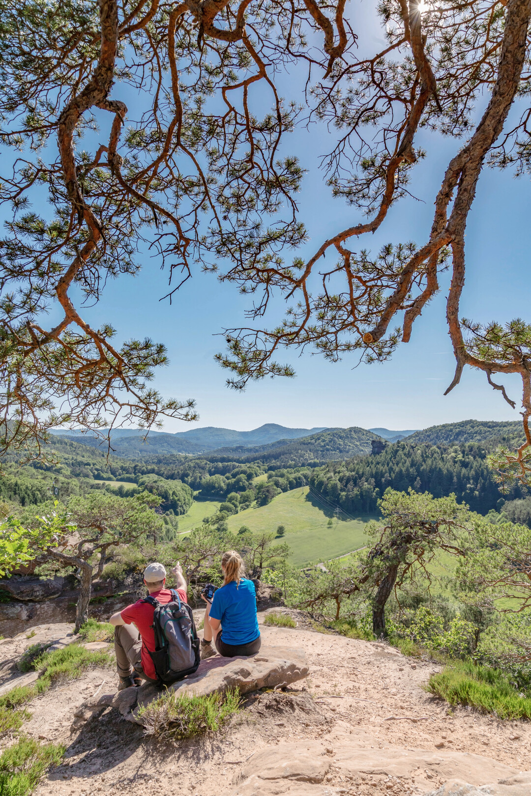 Freizeit im Biosphrenreservat: Wandern im Pflzerwald