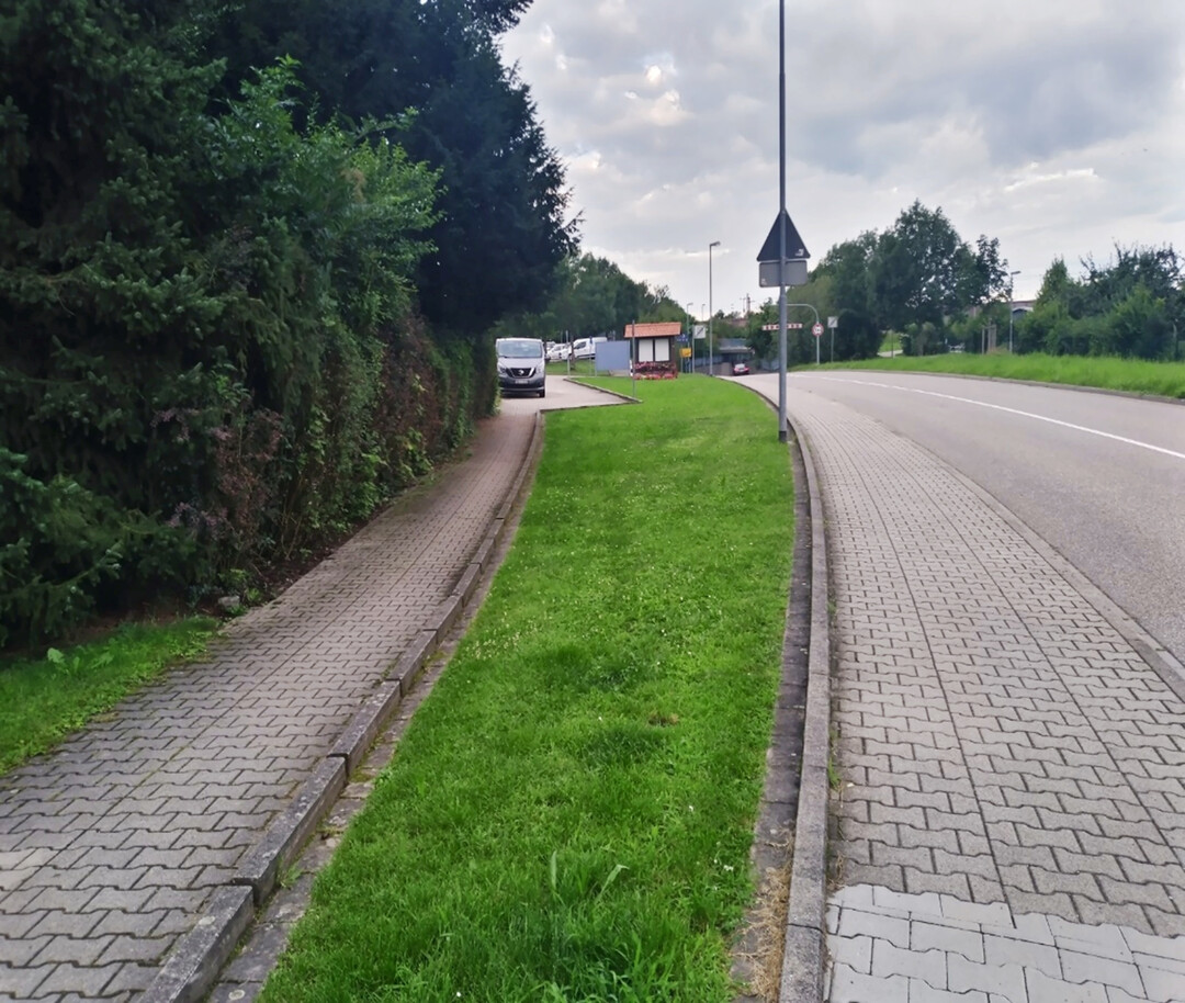 Verkehrsbegleitgrn vor der Umgestaltung ...