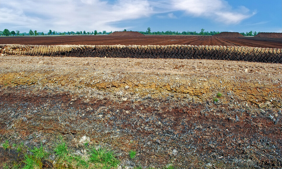 Active industrial mining of peatbogs in the Diepholzer Moorniederung (Niedersachsen)
