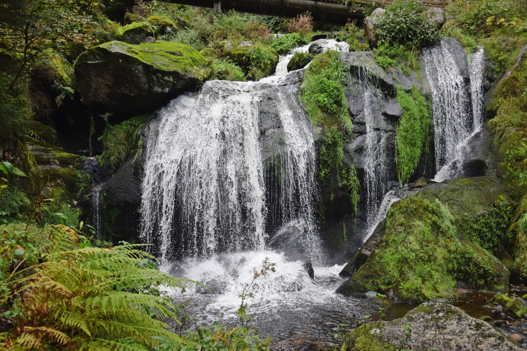Wasserfall im Schwarzwald