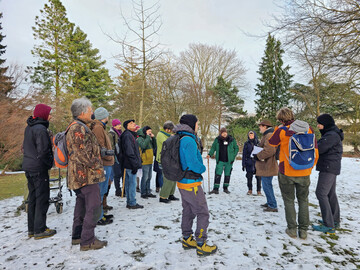 Fhrung durch den Baumbestand des Ruheparks Lehmkuhlen beim Winterseminar der DDG 2024 in Kiel