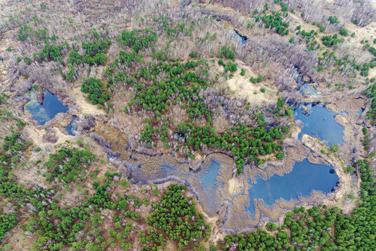 Where economic interests play a subordinate role on low-production sites, measures to realize the goals of the NRL and LULUCF and climate protection need not be expensive. It is enough to give the effective master-builders of nature, such as the beaver, space and time. The picture shows large-scale rewetting with bog formation and the creation of wetland forests in the Knigsbrcker Heide wilderness area in Saxony. 