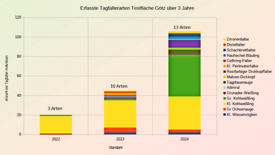 Abb. 4: Tagfalter im Veitshöchheimer Hanfmix erfasst nach Arten und Individuen für die Jahre 2022-2024.