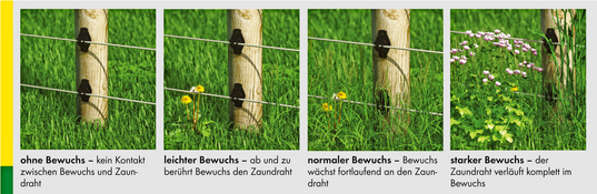Bespiele fr unterschiedlich hohen Bewuchs am Weidezaun
