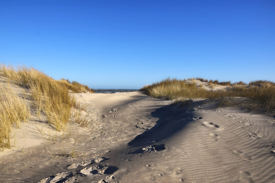 Dnen auf Baltrum