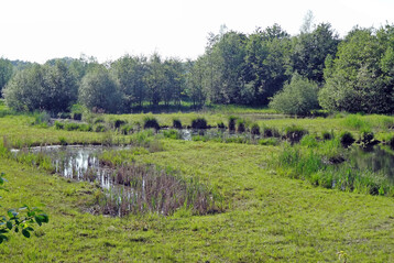 Typisches Beispiele fr ein Regenrckhaltebecken: TEMP/PERM = Becken mit temporren und kleineren permanenten Gewssern