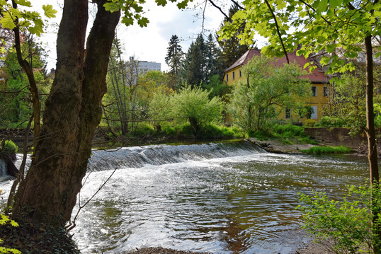 Bach mit Staustufe