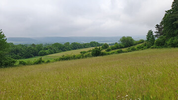 Blick von Vierzehnheiligen (Bad Staffelstein)