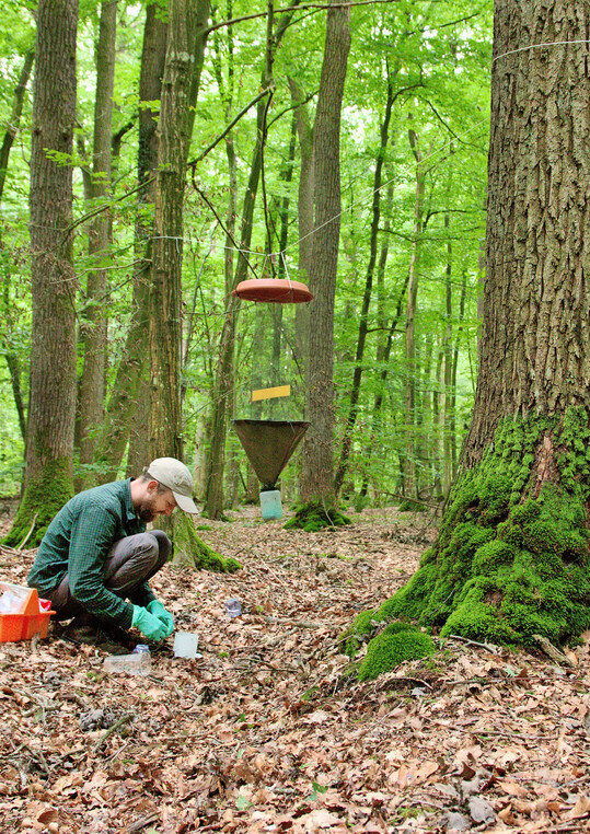 Im Biodiversittsmonitoring der NW-FVA kommen automatische Aufnahmegerte und knstliche Intelligenz zur Erkennung von Vogelstimmen zum Einsatz.