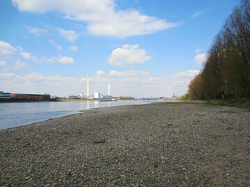 Der Rhein bei Kln, aufgenommen im April 2025