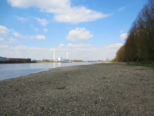 Der Rhein bei Köln, aufgenommen im April 2025