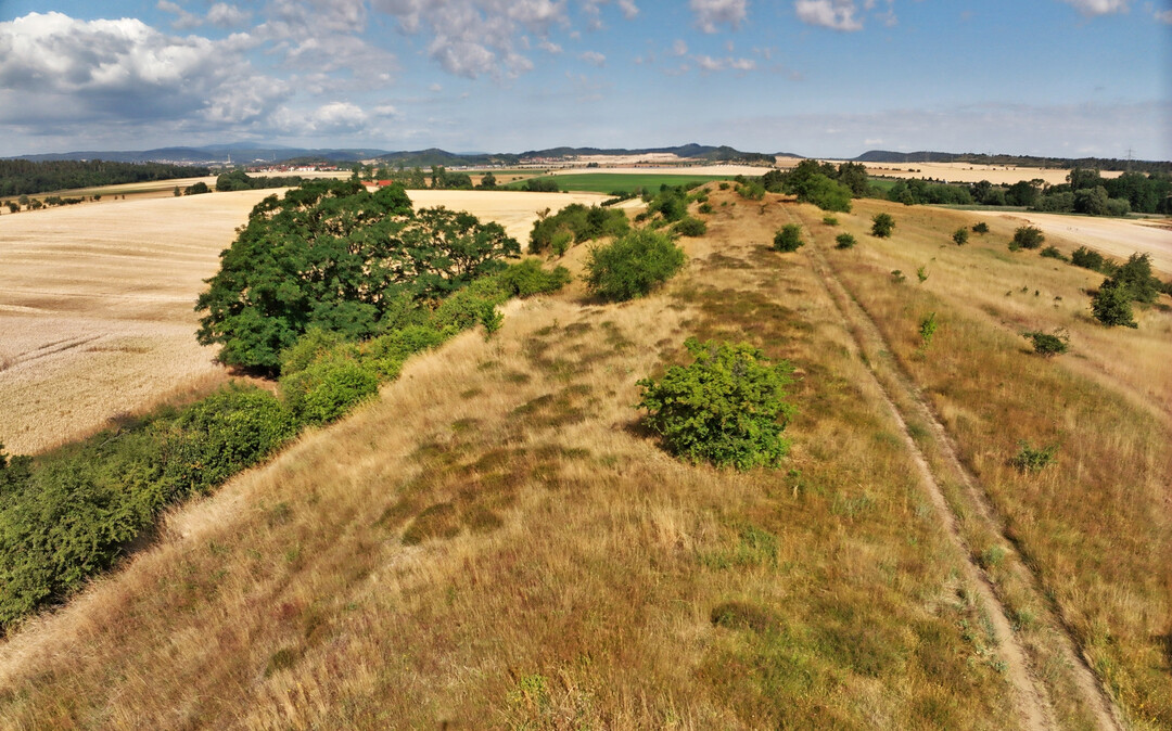 Luftbild des Harzer Naturdenkmals Trog, das 18 Arten von Wildpflanzen beherbergt, die eine besondere Bedeutung fr die Ernhrung und Landwirtschaft haben.