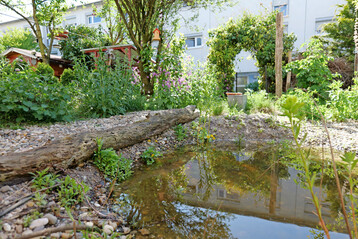 Auch in kleinen Grten kann Habitatvielfalt entstehen, beispielsweise mit Totholz, Wasser und verschiedenen Substraten.