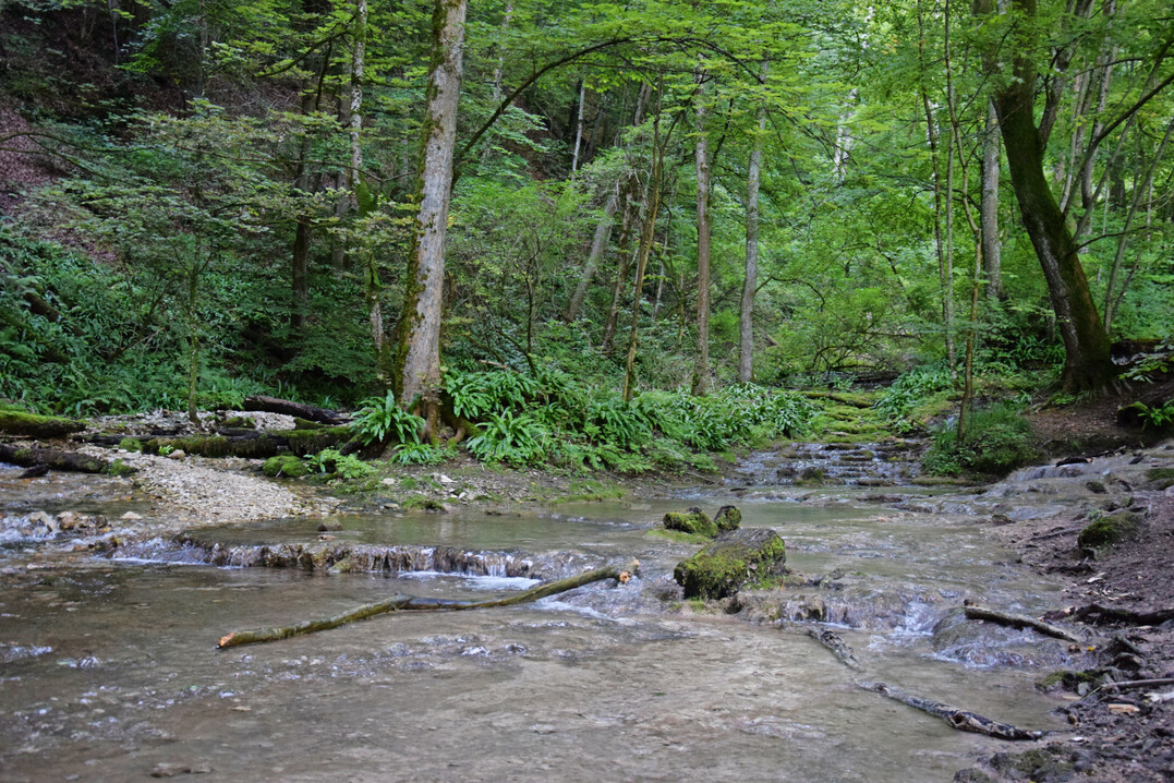 Naturnaher Bachlauf bei Bad Urach