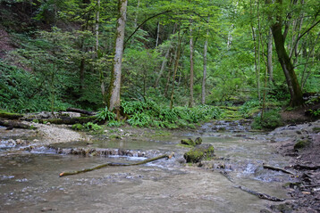 Naturnaher Bachlauf bei Bad Urach