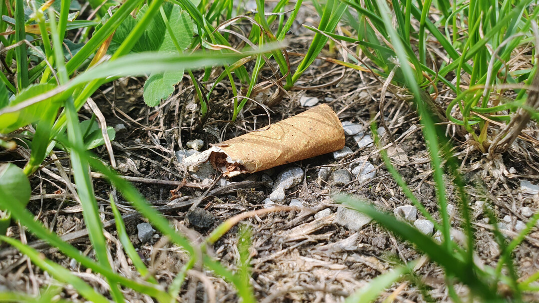 Zigarettenstummel auf einem Feldweg