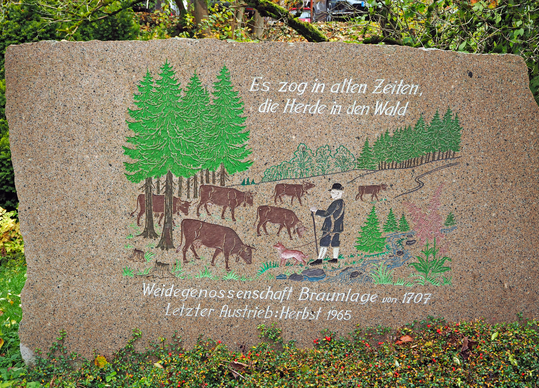 Die Hutewaldnutzung hatte in Europa eine historisch lange Tradition. In heutiger Zeit müssen jedoch zahlreiche gesetzliche Hürden und gesellschaftliche Einigungen überwunden werden, um die Beweidung von Wäldern wieder zu etablieren. In Braunlage (Harz) erinnert ein Gedenkstein an diese Art der historischen Landnutzung, die heute als ein Baustein zur effektiven Förderung artenreicher, komplexer Landschaften angesehen wird.
