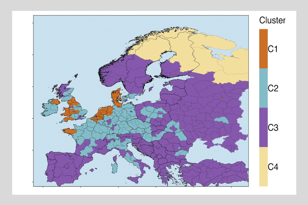 Stickstoffberschuss in Europa  geclustert in vier Kategorien. Die orangefarbenen Regionen (C1) werden von Stickstoffeintrgen durch Glle dominiert, whrend die blauen Gebiete (C2) stark vom Einsatz mineralischer Dnger geprgt sind. Die violetten Regionen (C3) spiegeln eine moderate Kombination aus Glle und mineralischem Dnger wider, und die gelben Gebiete (C4) stehen fr natrlichere Landschaften mit minimalem Einfluss durch die Landwirtschaft.