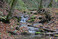 Naturnaher Bachlauf im Herbst