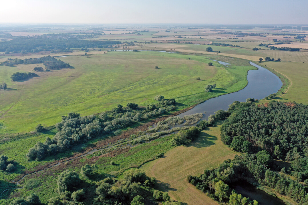 Projektgebiete im Naturschutzgroprojekt Mittelelbe-Schwarze Elster im August 2020