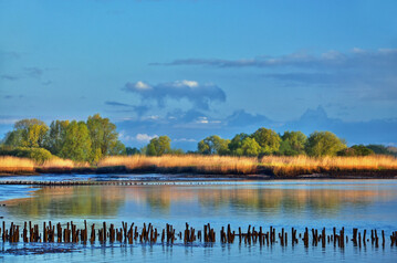 Weite Teile der Tideweser wurden unter Naturschutz gestellt.