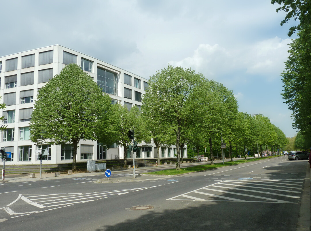 Typische stdtische Flchenkonkurrenz: Bume und Abstandsgrn mssen mit Gebuden, Park- und Verkehrsflchen konkurrieren.