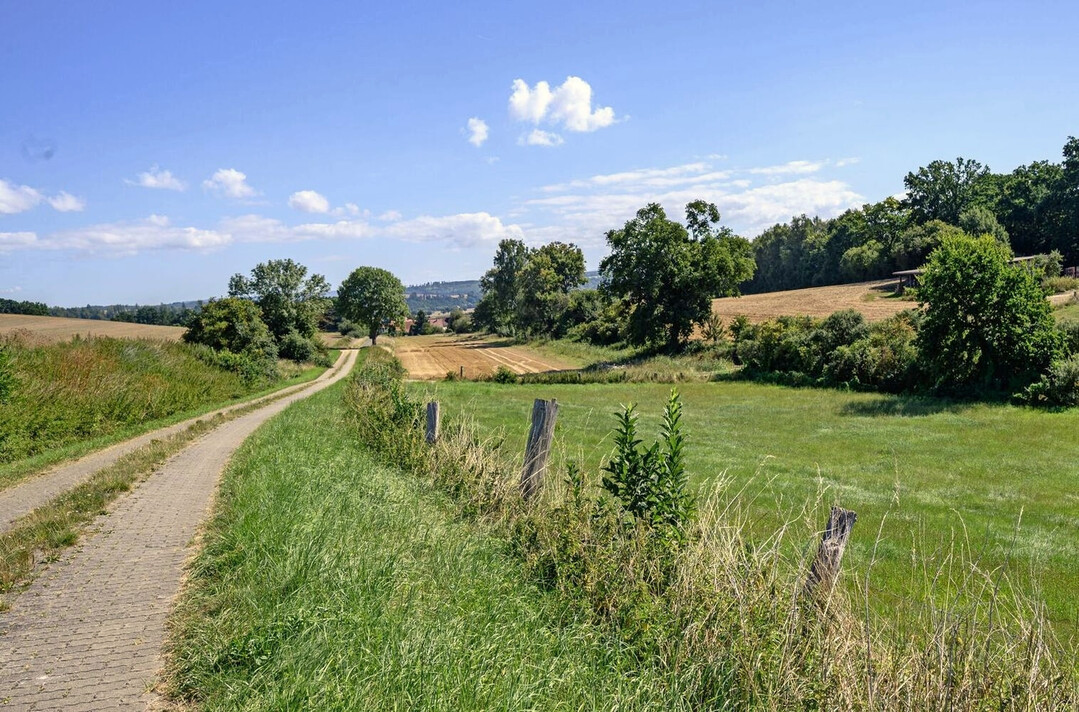 Kleinrumig strukturierte Kulturlandschaft mit Baumreihen, Grasstreifen sowie Brachestreifen entlang der Zaunpfhle
