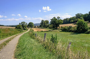 Kleinrumig strukturierte Kulturlandschaft mit Baumreihen, Grasstreifen sowie Brachestreifen entlang der Zaunpfhle