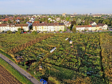 Der Gemeinschaftsacker Feudenheim ist ein Lsungsansatz fr die zentralen Krisen der Welt  entwickelt im Projekt IAG.