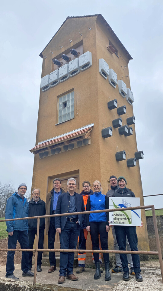 Von der Stromverteilung zum Artenschutz-Hotspot: ehemaliges Trafohaus in Stein.