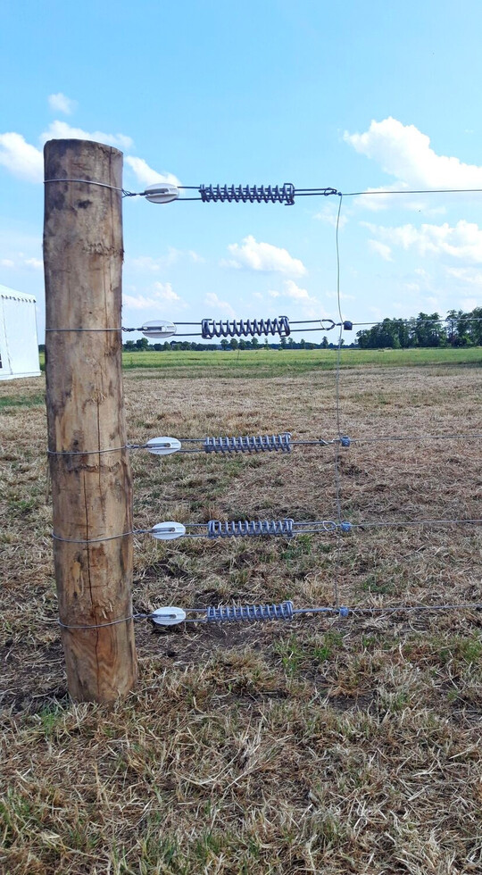 Wolfsabweisender Zaun, hier fr eine Rinderweide: Fnf stabile Drahtstrnge und Strom sollen verhindern, dass Wlfe den Zaun berwinden.