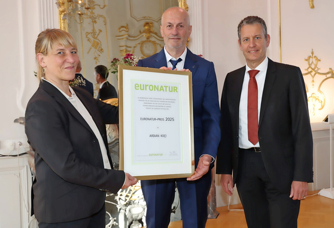 Ardian Koi (Mitte) erhlt den diesjhrigen EuroNatur-Preis, auch weil er Rckgrat bewiesen hat. Die Auszeichnung wurde ihm bergeben von EuroNatur-Vizeprsidentin Dr. Anna-Katharina Wbse und EuroNatur-Geschftsfhrer Gabriel Schwaderer.