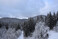 Nationalpark Schwarzwald im Winter