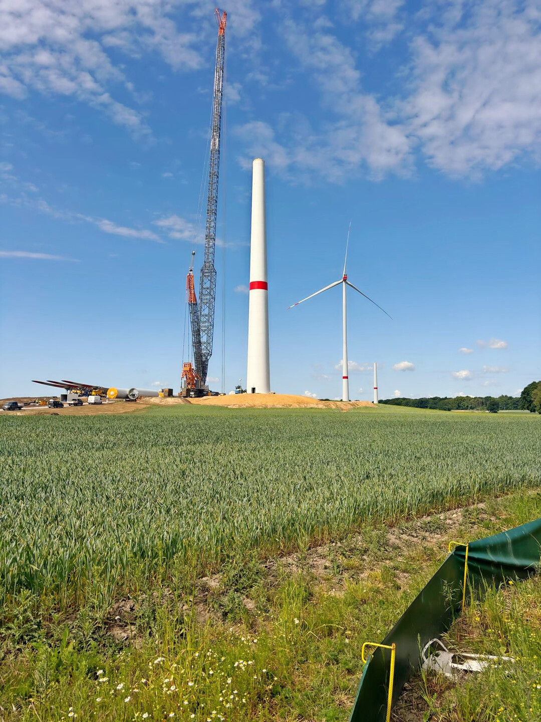 Amphibienschutzzaun mit Fangeimer an einer Windenergie-Baustelle