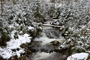Naturnaher Bach im Winter