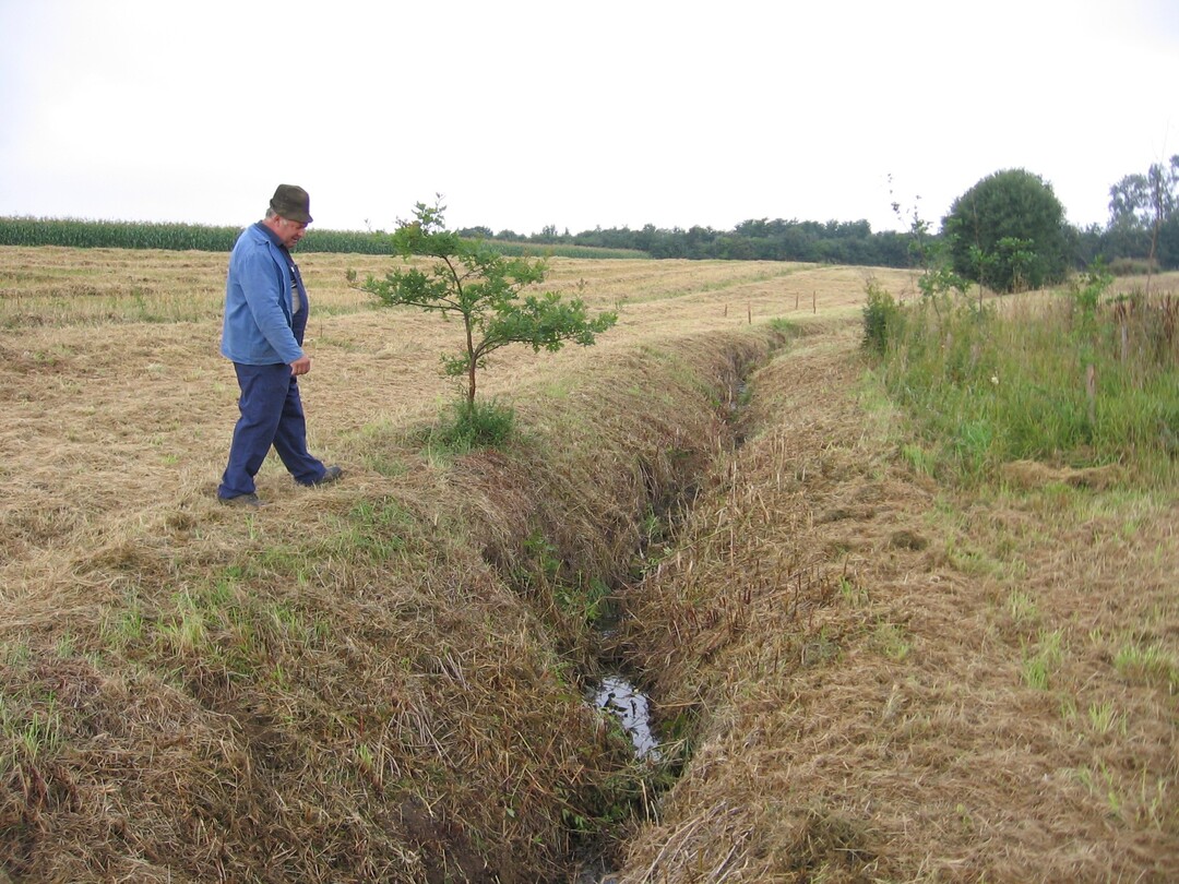 Abb. 2:Der Eichbach vor der Renaturierung: gestreckter Lauf mit etwa 1 m Tiefe und mit einer Bordbreite von 1,5 m.